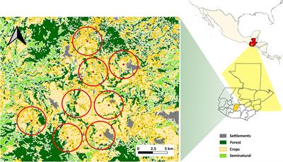 Landscape or local? Distinct responses of flower visitor diversity and interaction networks to different land use scales in agricultural tropical highlands